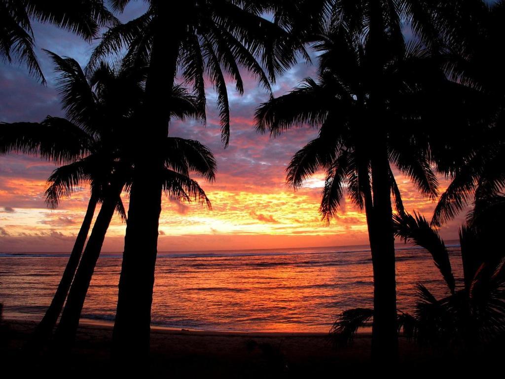 Sunhaven Beach Bungalows (Adults Only) Rarotonga Extérieur photo
