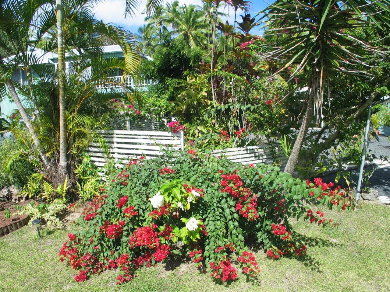 Sunhaven Beach Bungalows (Adults Only) Rarotonga Extérieur photo